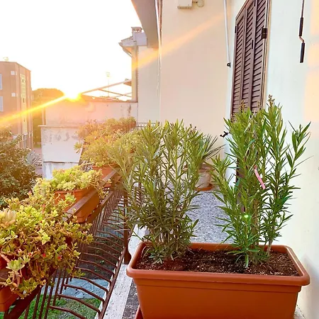 Apartament Chianti 22 *